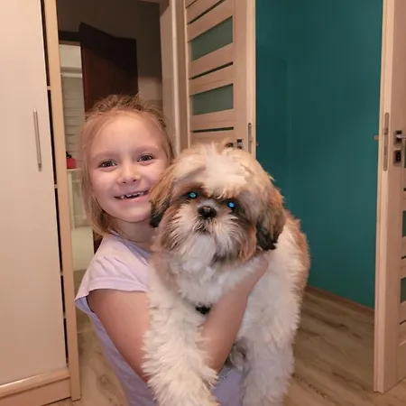 Dom wakacyjny Leśny W Dolinie Symsarny Lidzbark Warmiński