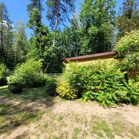 Dom wakacyjny Leśny W Dolinie Symsarny *