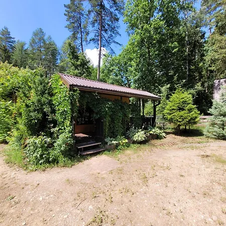 Leśny W Dolinie Symsarny *