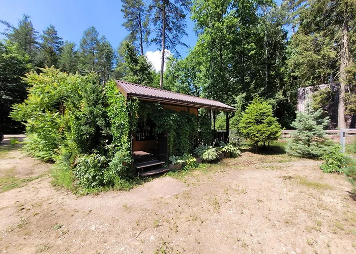 Lesny W Dolinie Symsarny *